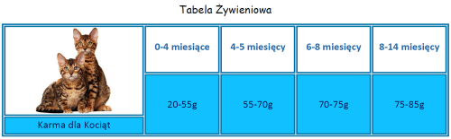 3490386d00c85efcb6ce101d0eca7b20